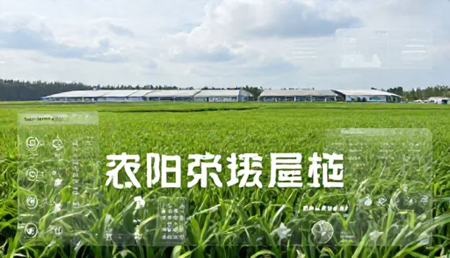 信息运维托管服务适用场景与限制分析